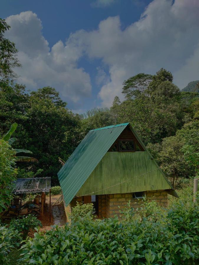 Rainforest Cabin Deniyaya Exterior foto