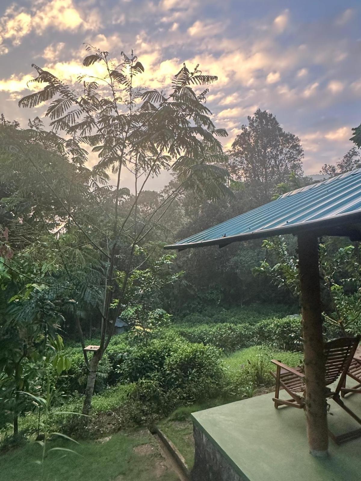 Rainforest Cabin Deniyaya Quarto foto